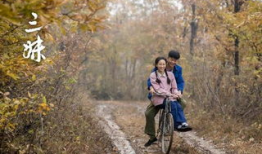 电视剧何三妹,逆境中的坚韧女性传奇